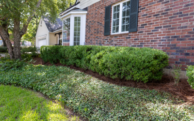 Full Landscape Cleanup | Shreveport, LA
