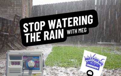 Stop Watering in the Rain