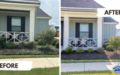 Simple Landscape Cleanup in Stonewall, LA