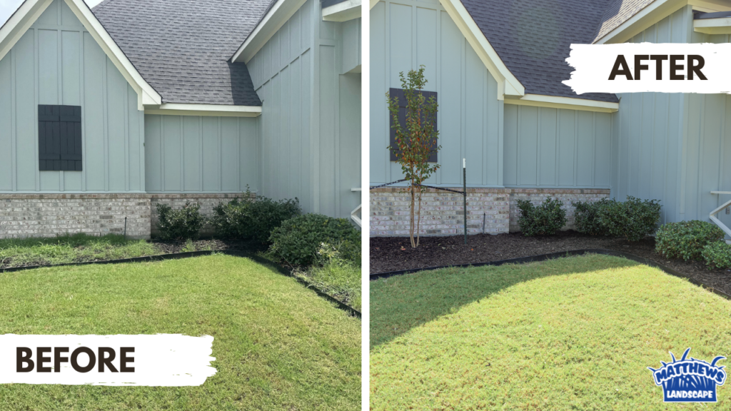 Landscape cleanup before and after in Stonewall