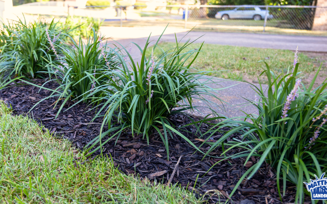 New Plant Installation Before & After