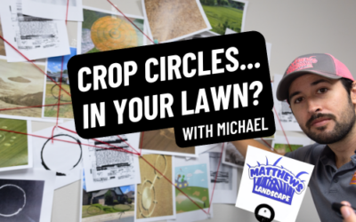 Crop Circles in Your LAWN?