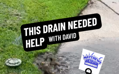 This Drain Needed Help