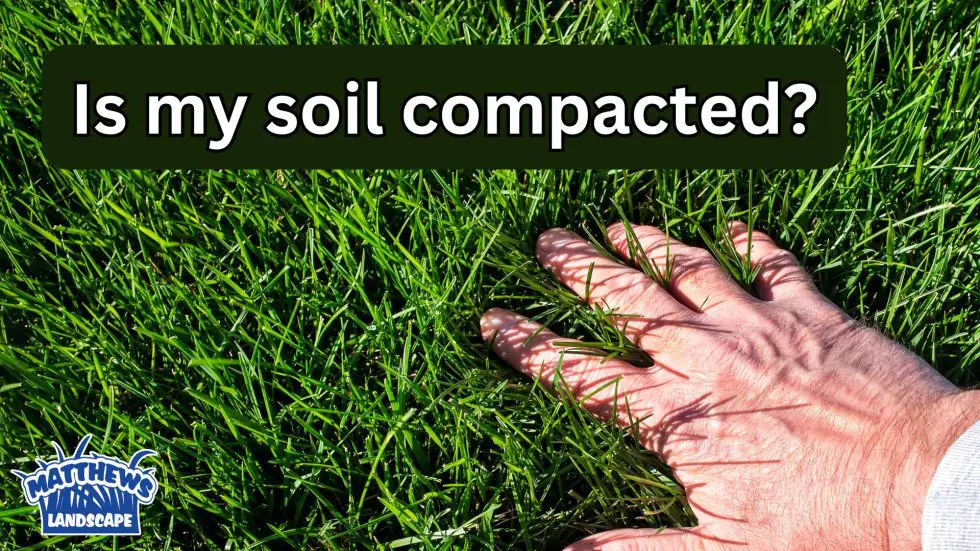 Ways to Know If You Have Lawn Compaction