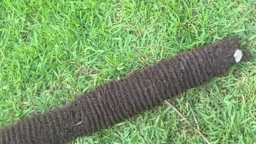 What’s Hiding In Your Outdoor Drains?