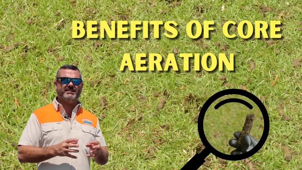 What Are the Benefits of Core Aeration?