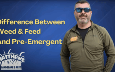 Why We Don’t Use Weed and Feed