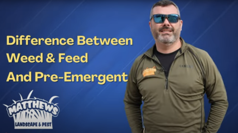 Why We Don’t Use Weed and Feed