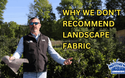 Why We Don’t Recommend Landscape Fabric