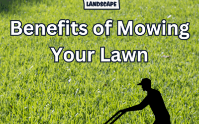 Benefits of Mowing Your Lawn