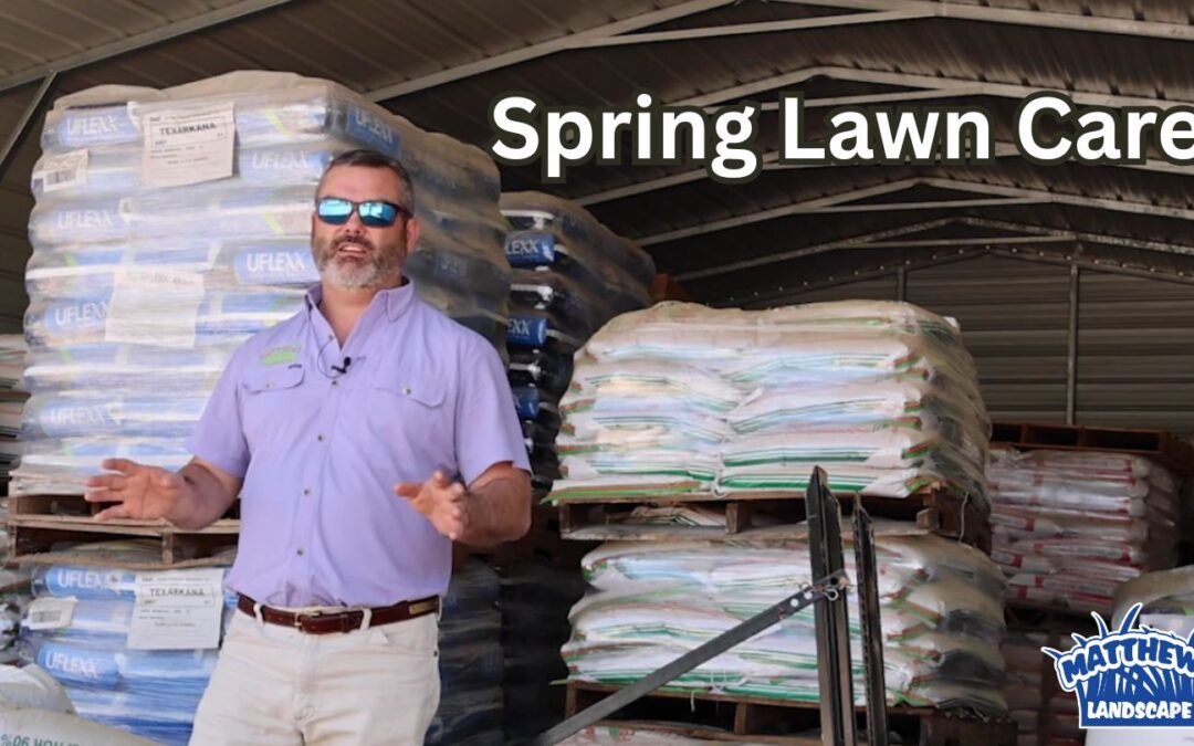 Spring Lawn Care