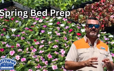 Spring Flower Bed Prep