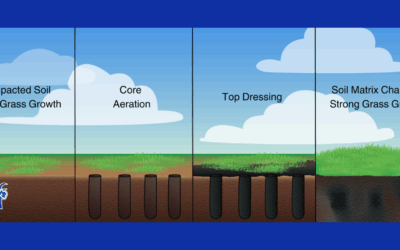Lawn Care Tips: Core Aeration and Topdressing
