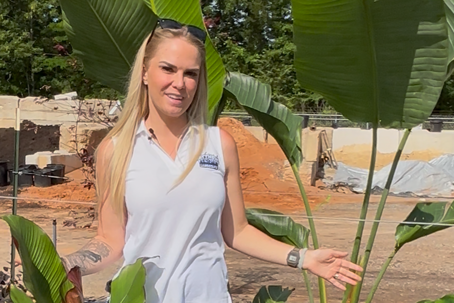 Consider Adding Tropicals to Your Landscape