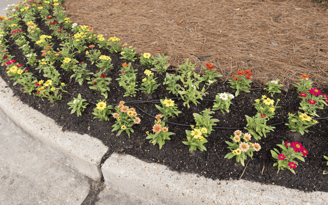 Flower Bed Tips