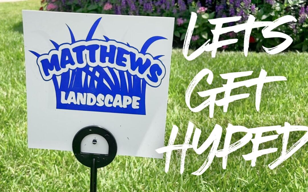 Hyped About Matthews?