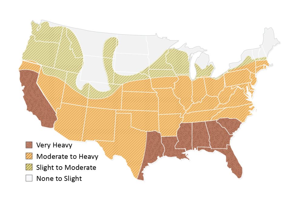 USA Termite Infestation Map