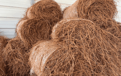 Benefits of Pine Straw