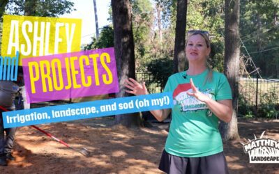 Ashley and Projects: Irrigation, Landscape, and Sod (Oh my!)