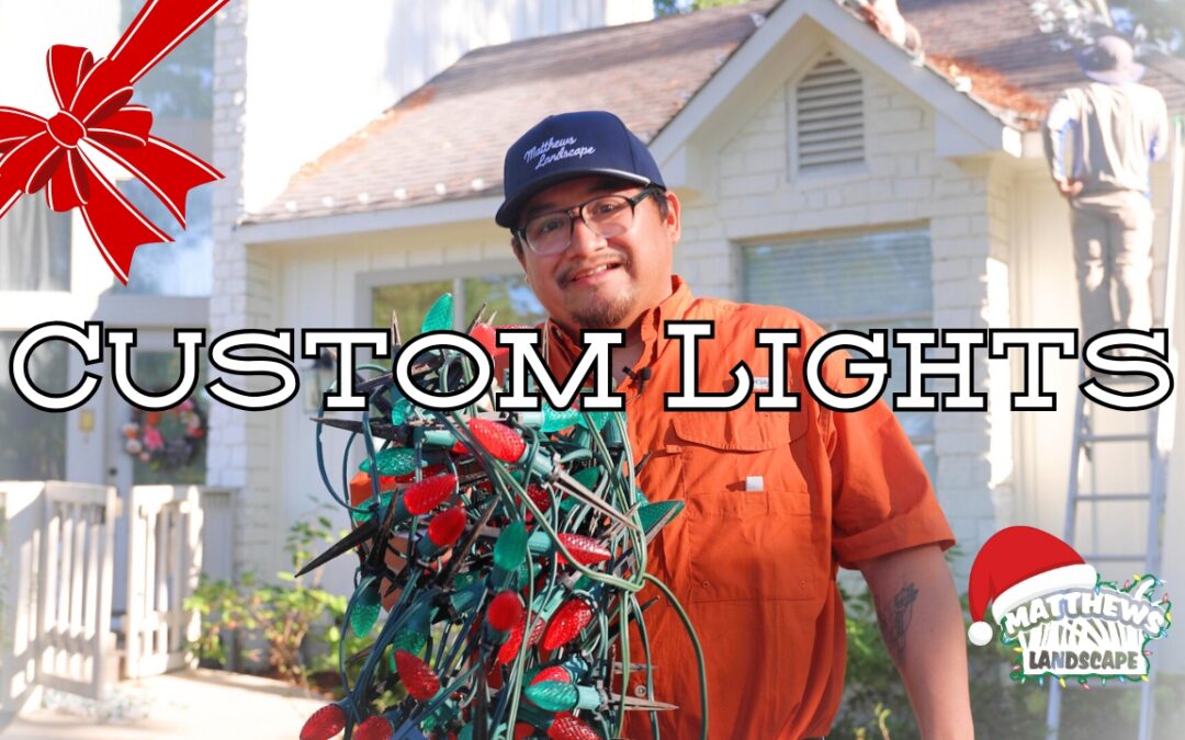 Custom Christmas Lights