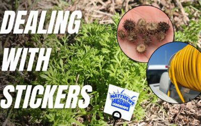 Dealing With Stickers