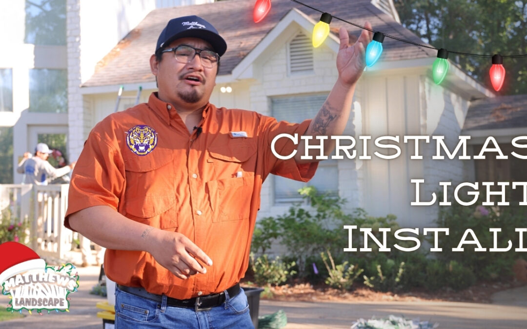 Christmas Light Installation