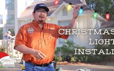 Christmas Light Installation