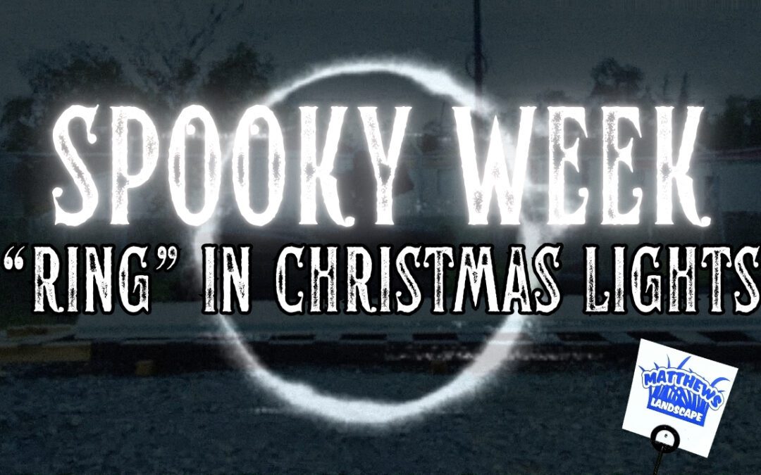 “Ring” In Christmas Lights