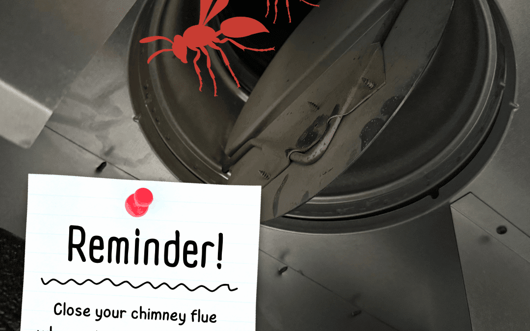 Keep Your Chimney Flue Closed!