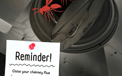Keep Your Chimney Flue Closed!
