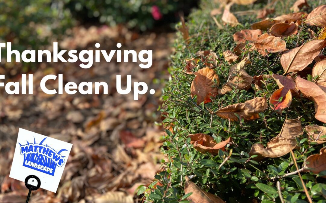 Thanksgiving Fall Clean Up