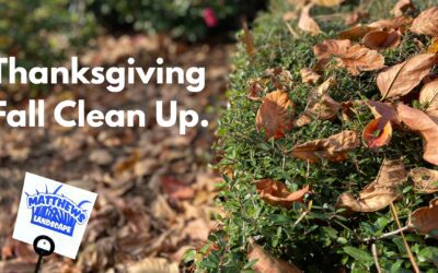 Thanksgiving Fall Clean Up