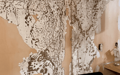 Termites are Silent Invaders