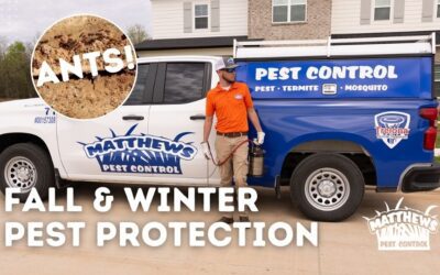 Fall and Winter Pest Protection