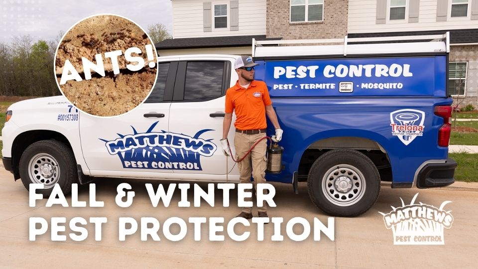 Fall and Winter Pest Protection