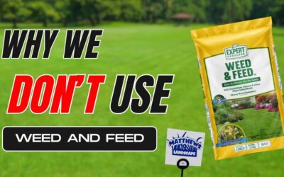 Why We Don’t Use Weed and Feed