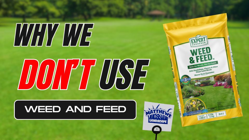 Why We Don’t Use Weed and Feed