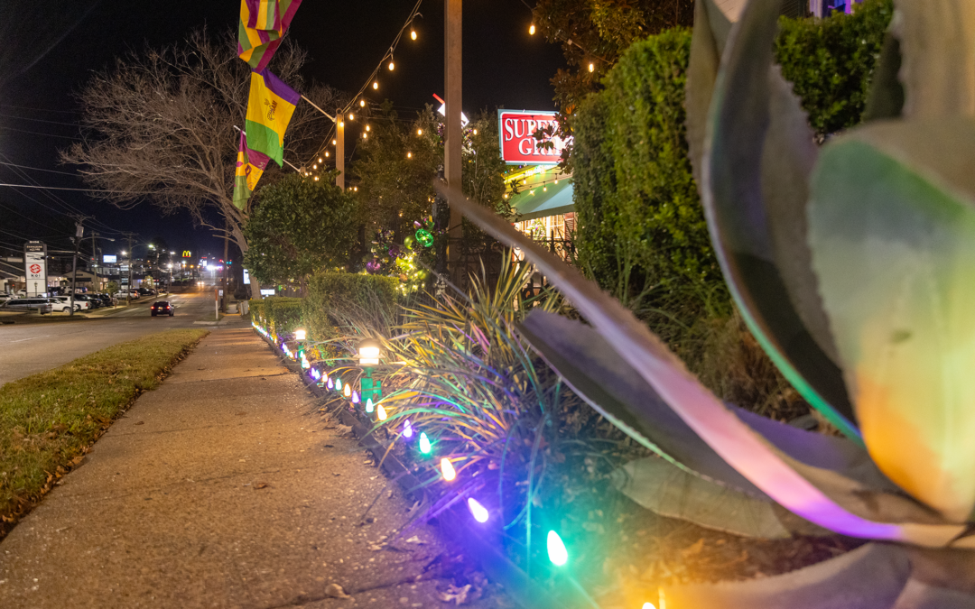 Mardi Gras Lights Available