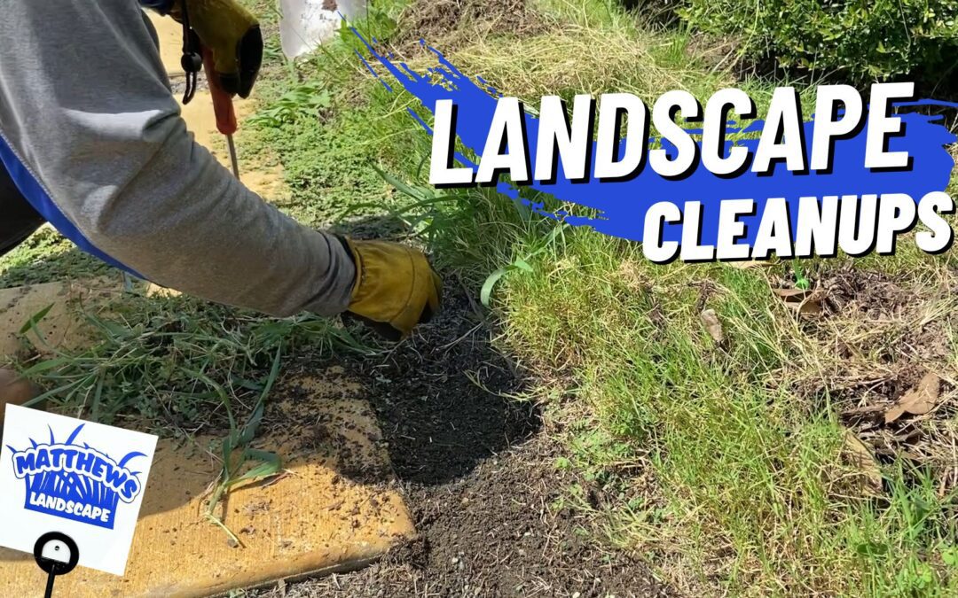 Landscape Cleanups