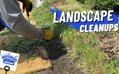 Landscape Cleanups