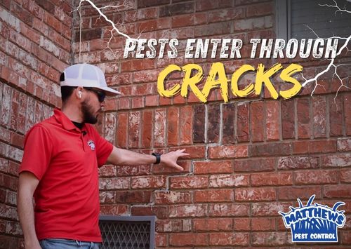 Pests Enter Through Cracks