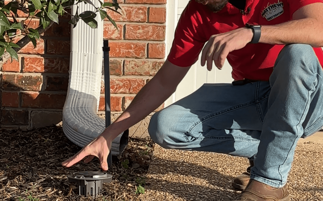 Are Your Bait Stations Installed Correctly?