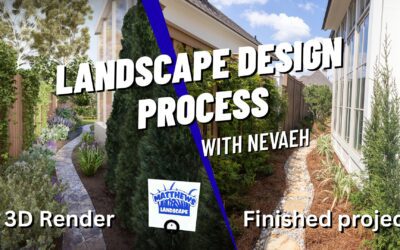 Landscape Design Process