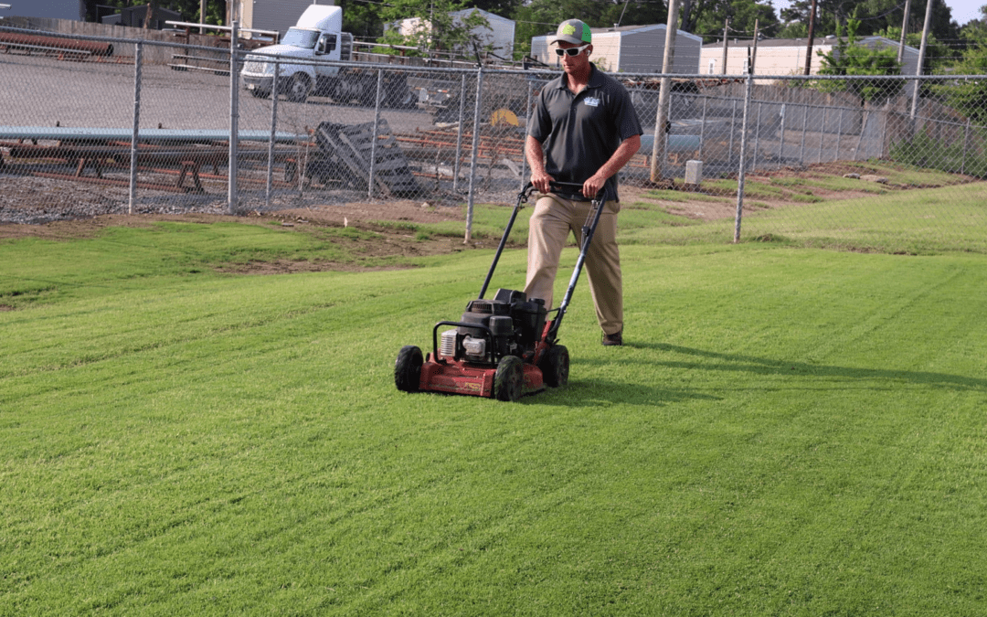 Benefits of Mowing Your Lawn