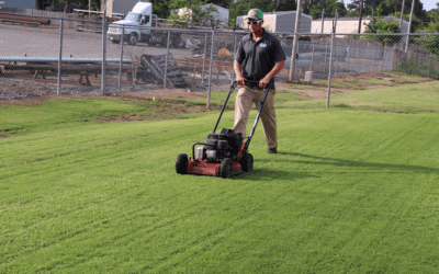 Benefits of Mowing Your Lawn