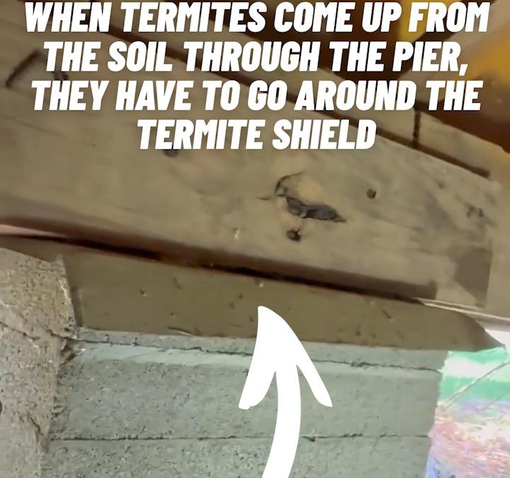 Do Termite Shields Work?
