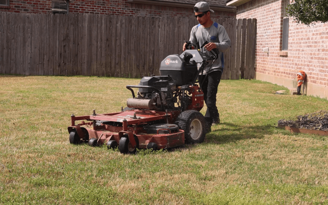 Spring Lawn Care Tips
