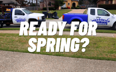 Are You Ready For Spring?