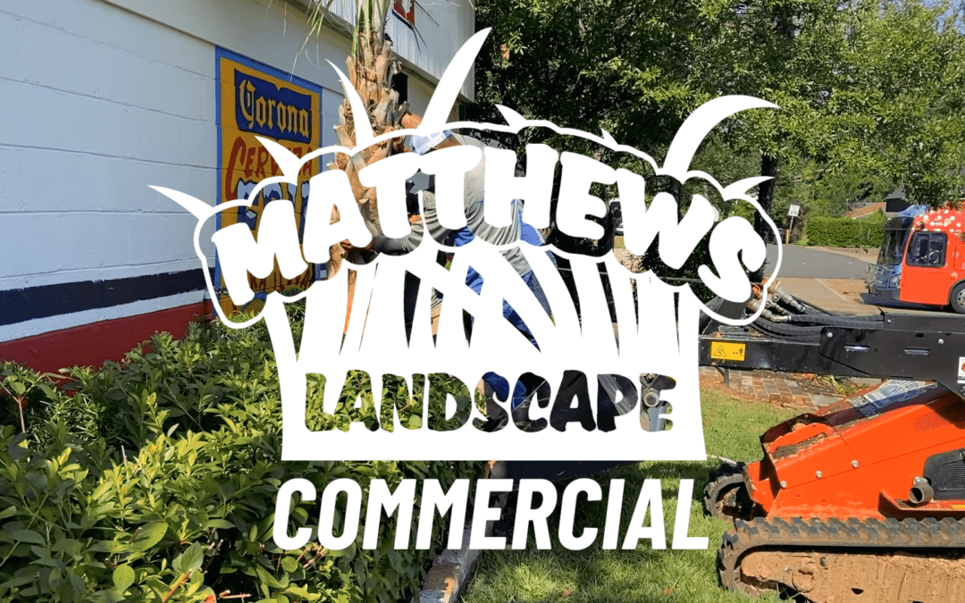 Transforming Commercial Properties