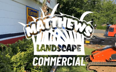 Transforming Commercial Properties